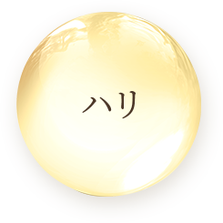ハリ